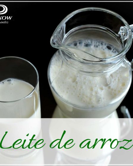 Receita leite de arroz sem lactose