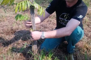 Caminhada ecológica 2019