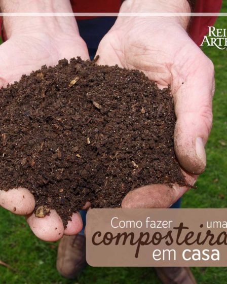 Como fazer uma composteira orgânica em casa