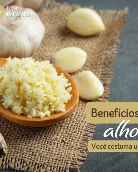 Benefícios do alho para a saúde