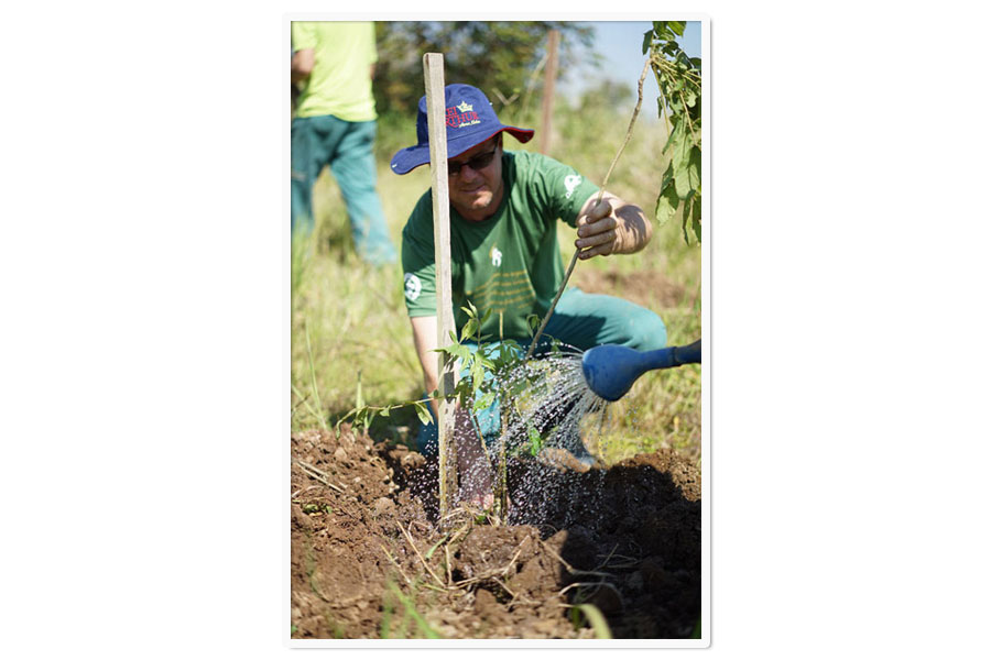 Replantio de árvores às margens do Rio Jacuí