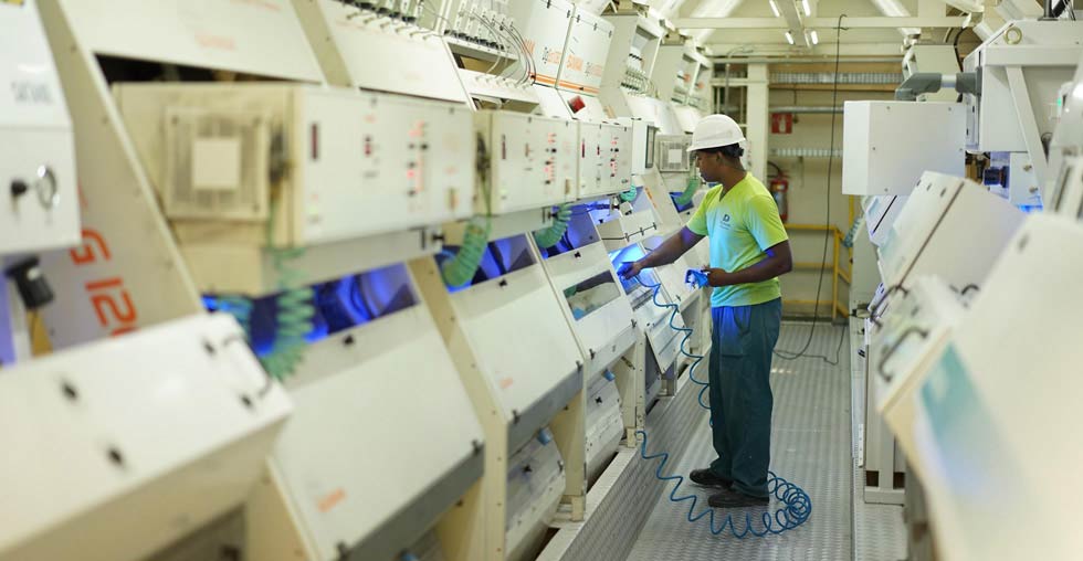 Seleção eletrônica de arroz